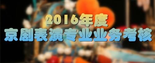 aaa大胸美女被操国家京剧院2016年度京剧表演专业业务考...